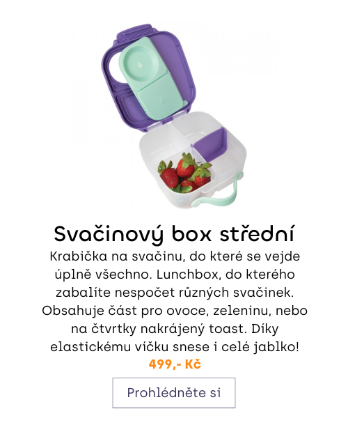 Svačinový box střední b.box